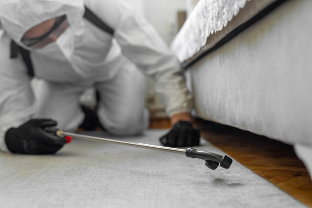 Professional Bed Bug Control technician working in University Park, NM