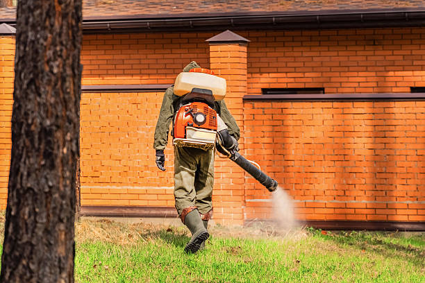 Trusted Rodent Control service in University Park, NM - Nex Pest Control